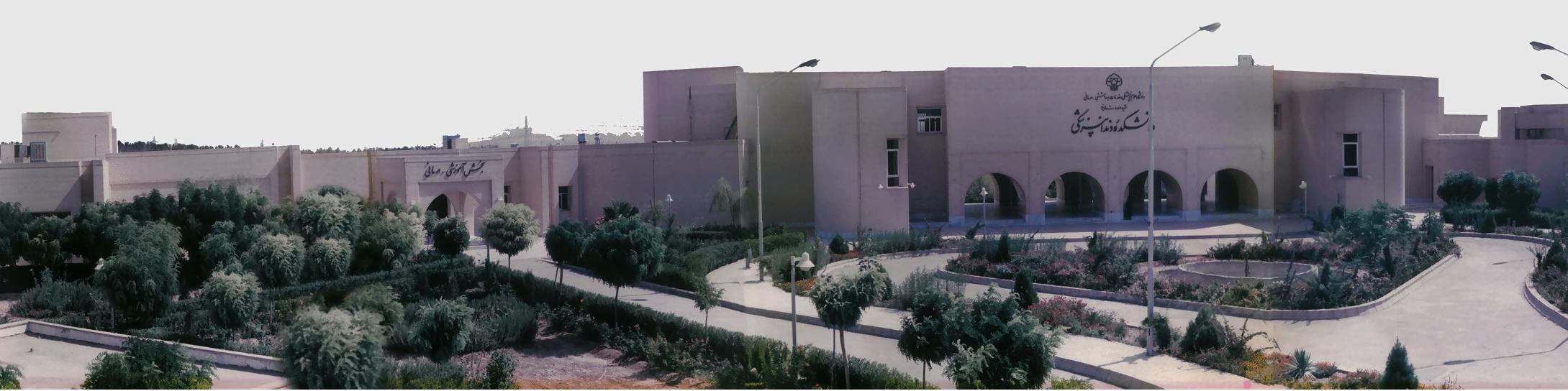 دانشگاه علوم پزشکی شهید صدوقی یزد